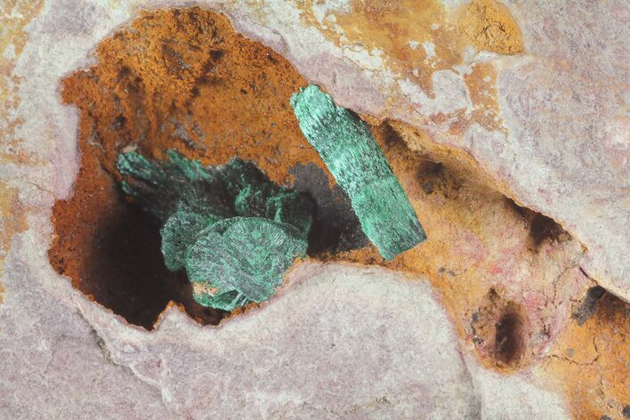 Fibrous Green Malachite Crystals on Matrix - Morocco #184050